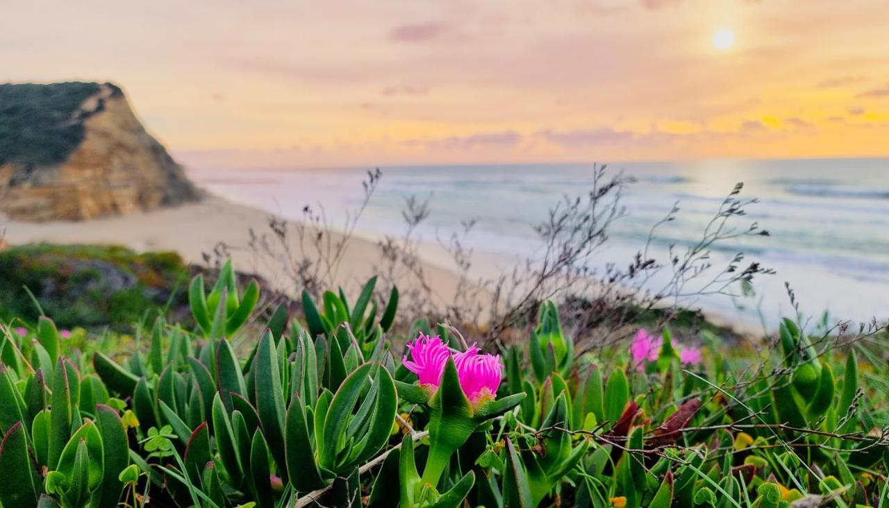 Tika Surf Camp Ericeira Hotel Carvoeira Kültér fotó